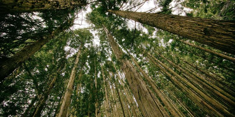 报考贵阳职业技术学院需要多少分？2024年录取分数线与位次深度解析（含历年数据参考）