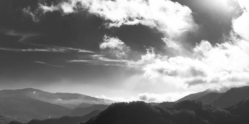 贵阳职业技术学院‘1+X’证书制度：招生政策、录取查询与高效考取全攻略