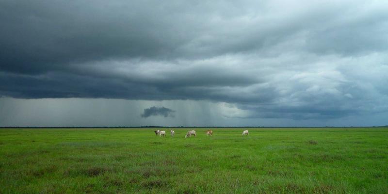 贵阳职业技术学院专业介绍与校园信息：从技能大赛获奖盘点看备赛经验
