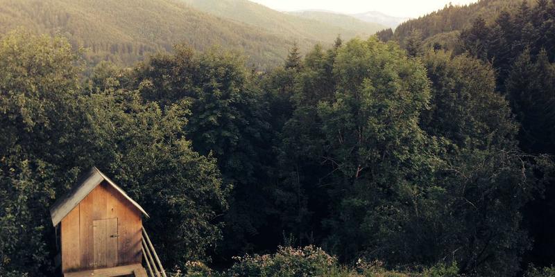 贵阳职业技术学院中外合作办学项目详解：特色专业、学费标准与升学前景全解析