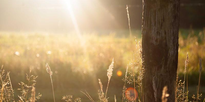 贵阳职业技术学院五年一贯制大专招生简章：初中毕业生的理想升学路径与专业详解