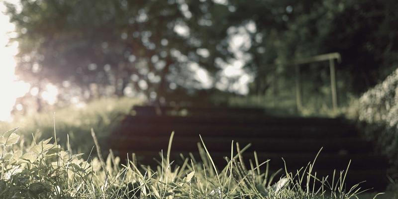 贵阳职业技术学院全解析：王牌专业与优质学习生活资源指南