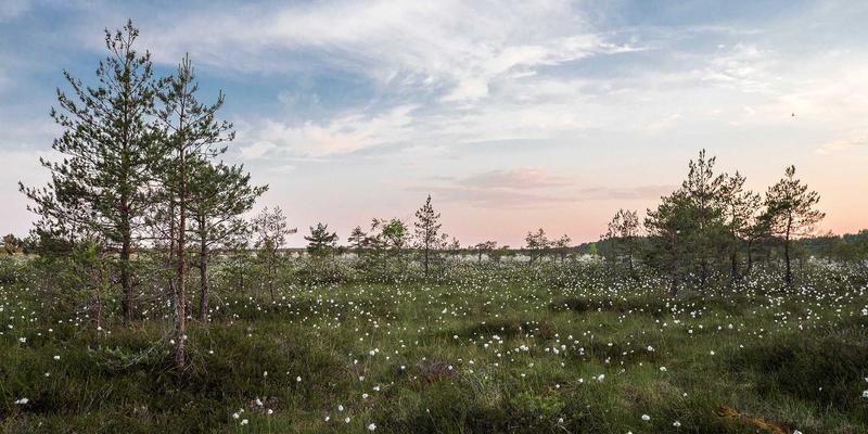 贵阳职业技术学院图书馆资源与服务全攻略：助力职业教育与专业发展