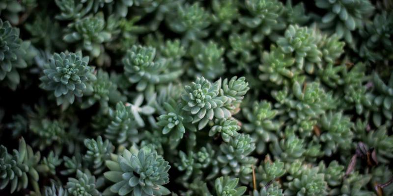 贵阳职业技术学院学生管理制度全解读：从日常规范到专业发展