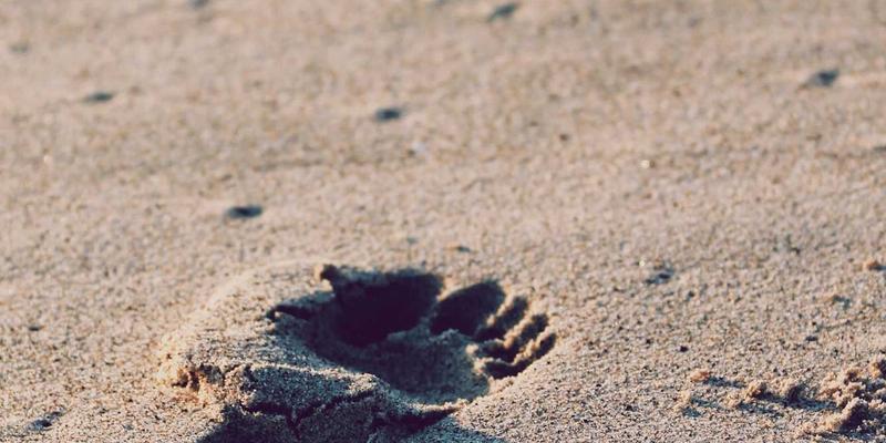 贵阳职业技术学院建筑工程技术专业实践教学体系探析：职业教育如何赋能校园信息与录取查询