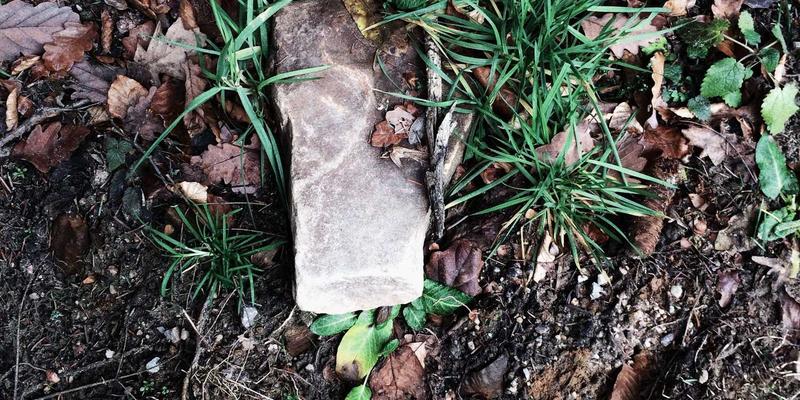 贵阳职业技术学院招生与信息化教学建设：在线课程革新与校园信息查询指南