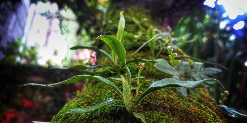 贵阳职业技术学院招生新机遇：深度解析与贵州大学等本科院校的衔接合作项目