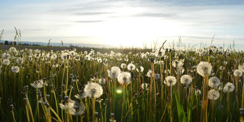 贵阳职业技术学院毕业生就业率与就业质量深度解析：近三年数据揭示职业教育新趋势