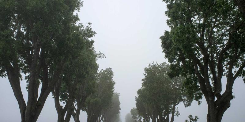 贵阳职业技术学院深度评测：特色专业、录取查询与职业发展全解析