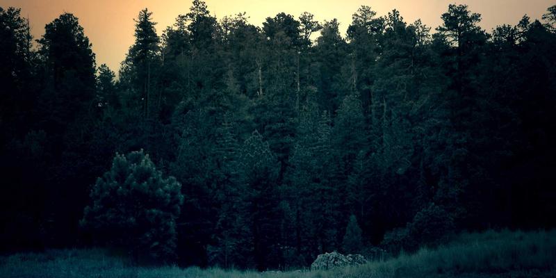 贵阳职业技术学院特色学院与王牌院系全览：招生录取查询必读指南